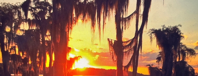 Learn to Paint - Cypress and Spanish Moss Sunset Workshop