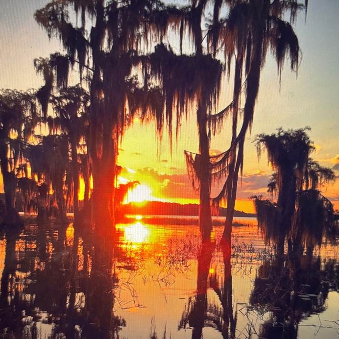 Learn to Paint - Cypress and Spanish Moss Sunset Workshop - logo